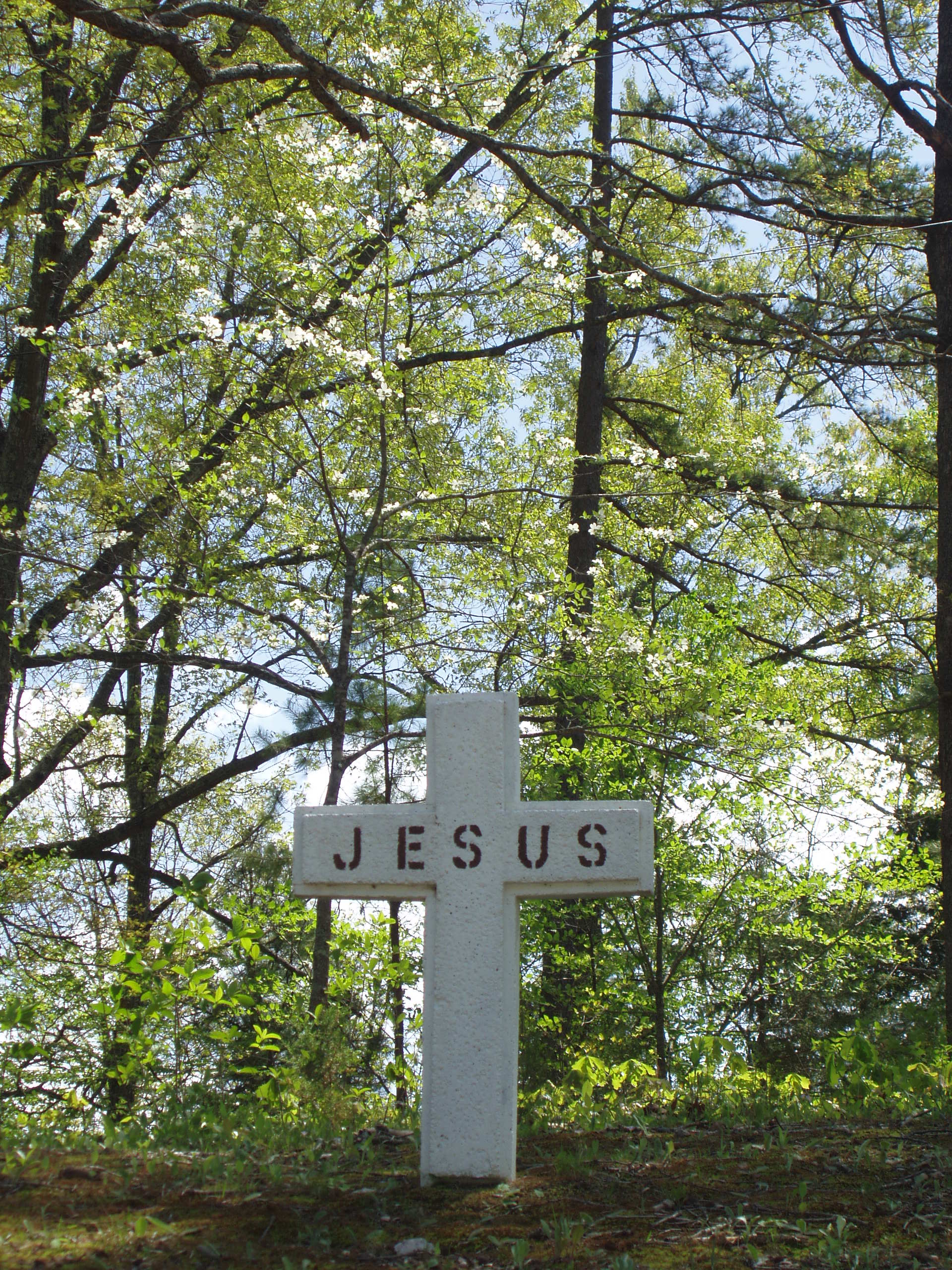 Quem é Jesus